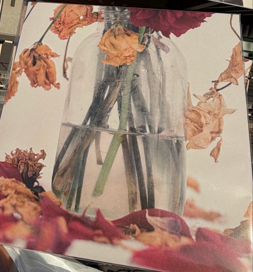 唾奇 camellia LP vinyl 武道館