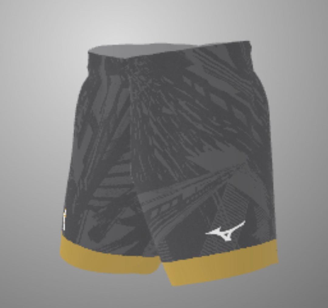 Mizuno バレーボール オーダーゲームパンツ②