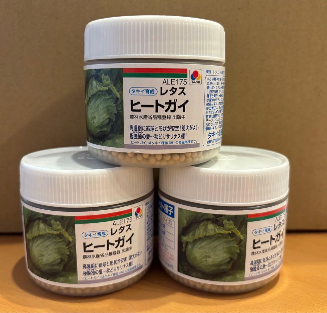 ヒートガイ レタスの種子 コート5000粒×3個