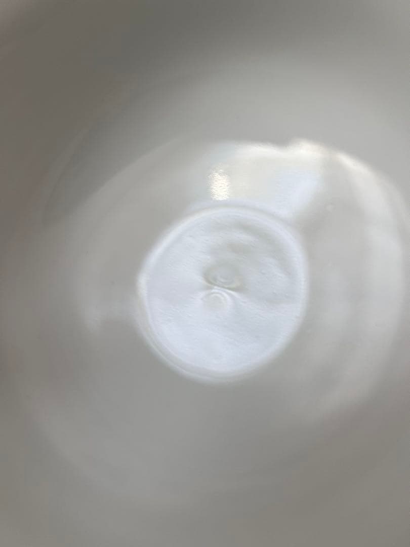 ブルーパルメッテ　ライスボウル　ペア