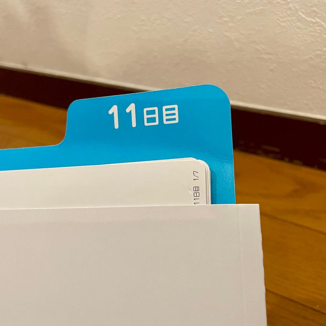 【カード欠品なし】SHICHIDA 七田式 ドッツセット 1〜63日目 一式