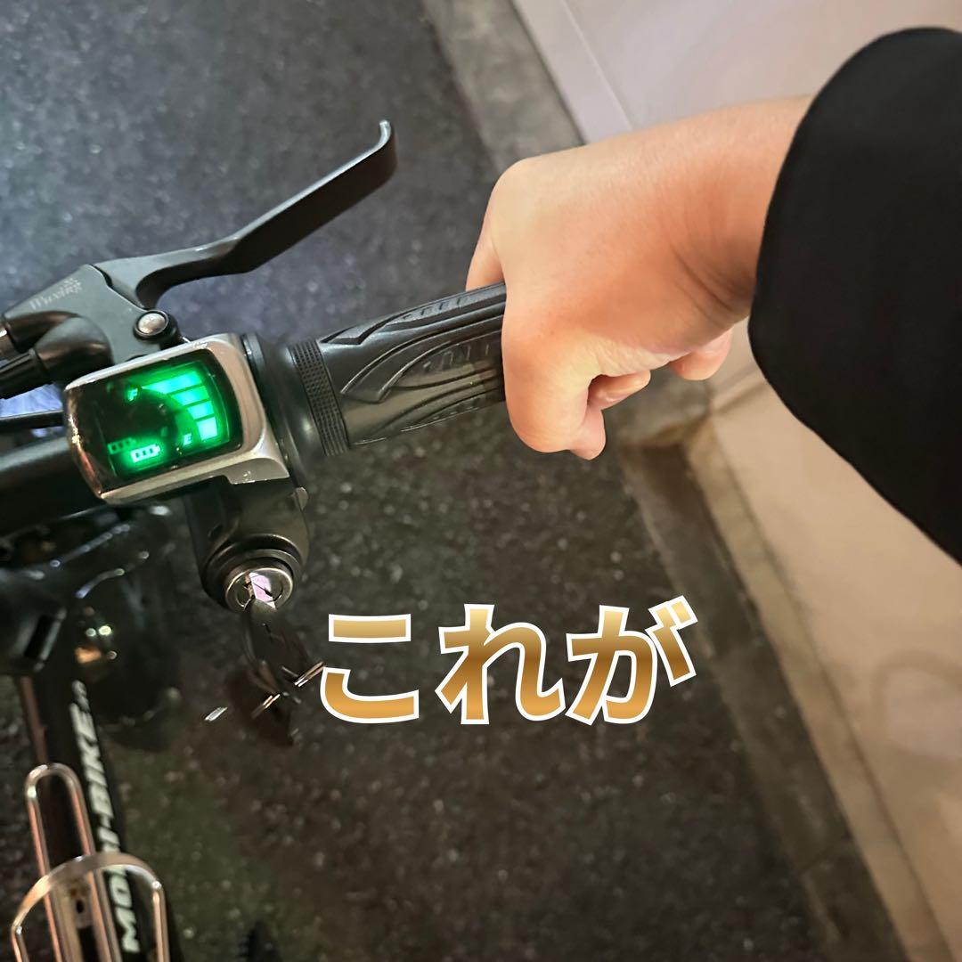 電動アシスト自転車