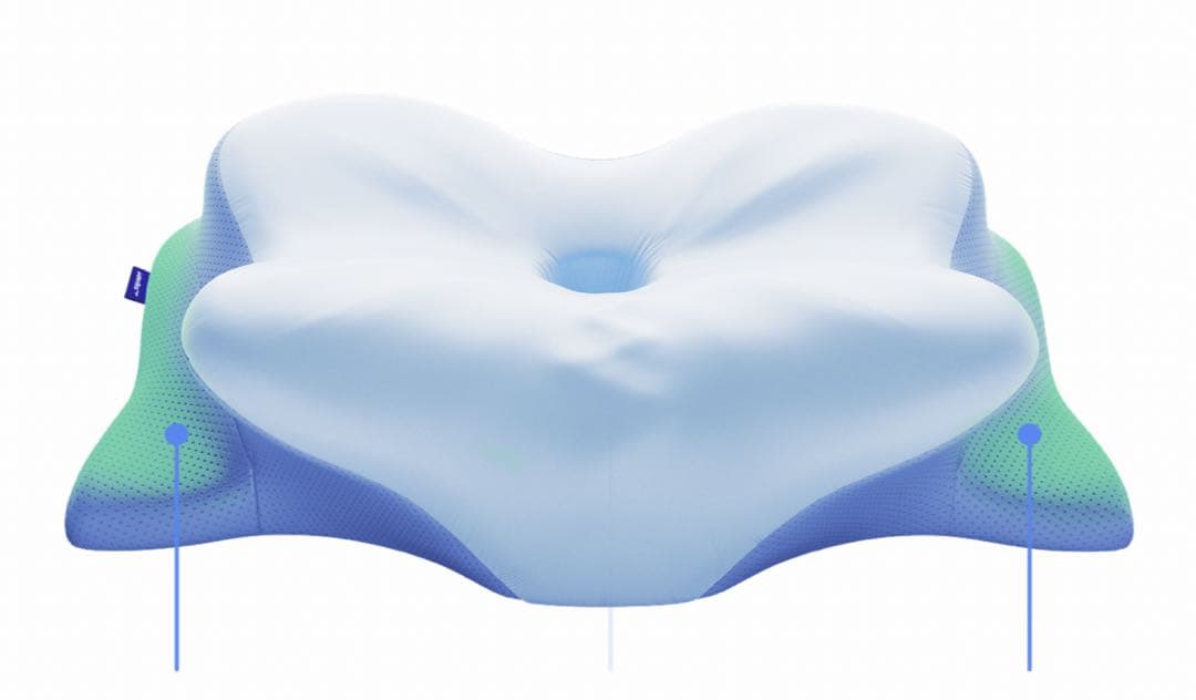 枕　（Derila Ergo）