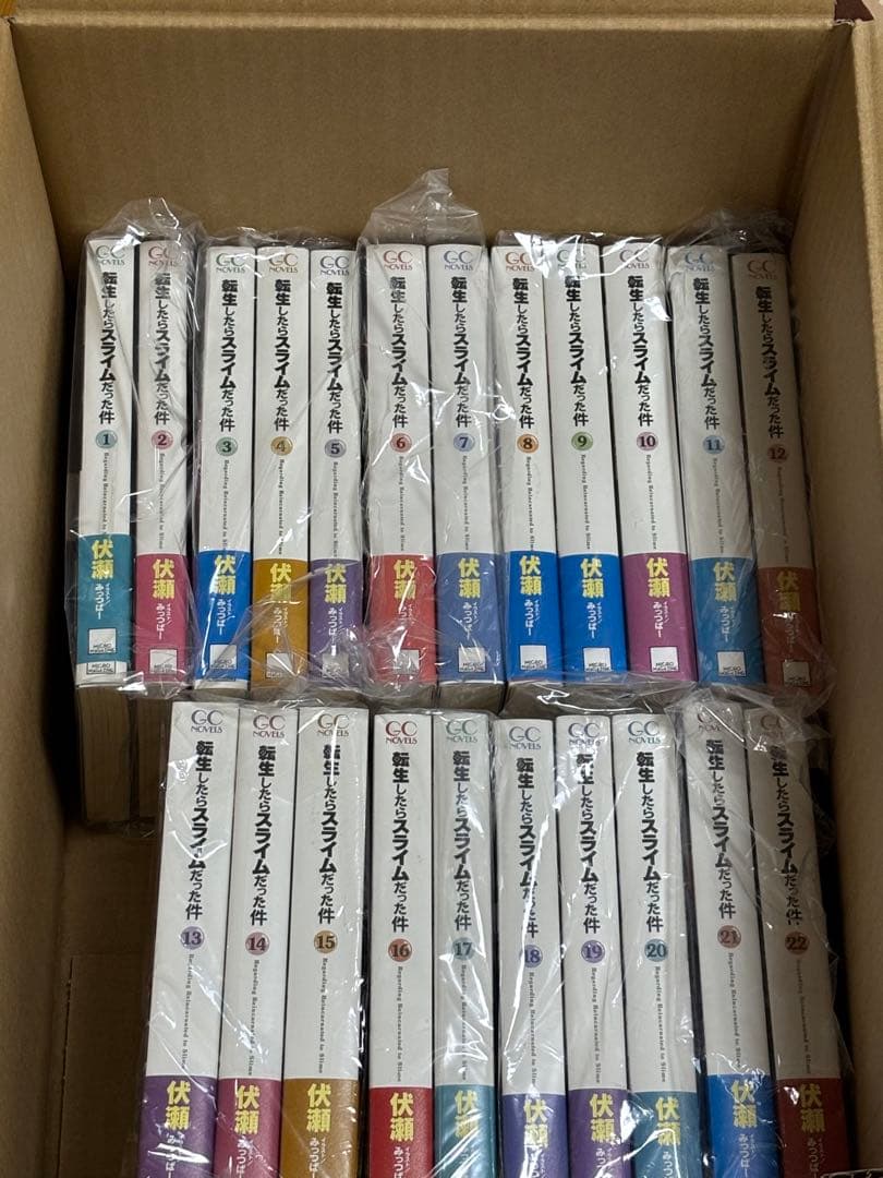 転生したらスライムだった件 小説1〜22巻　既刊全巻セット