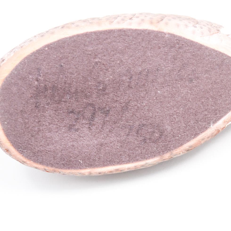 Wild Wings コールドキャスト 手描き彩色 デコイ バードカービング