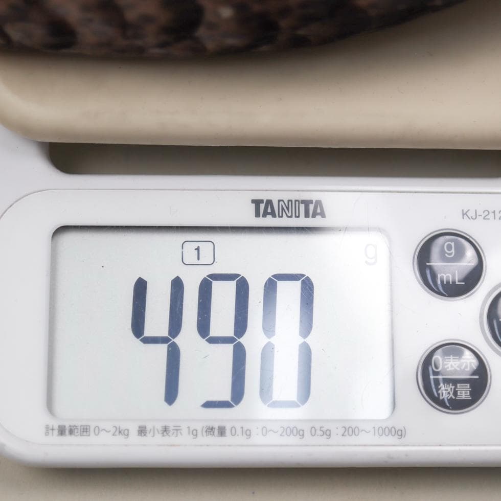 Wild Wings コールドキャスト 手描き彩色 デコイ バードカービング