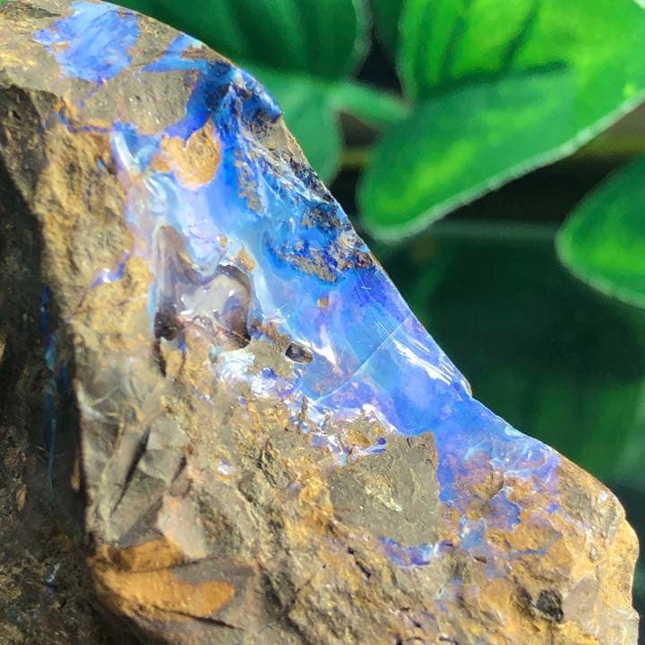 ボルダーオパール原石オーストラリア産y1130