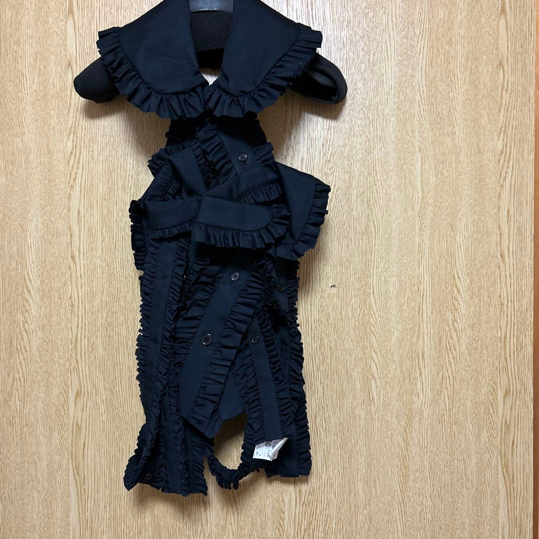 ノアールケイニノミヤ　ハーネス