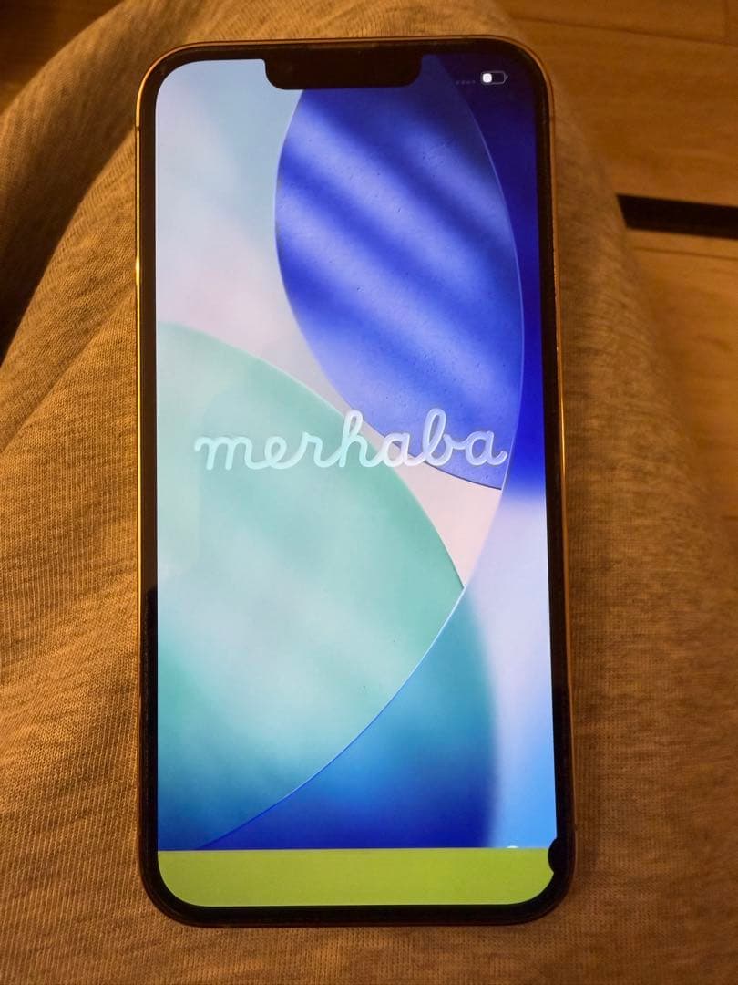 【ジャンク品】 iPhone13Pro