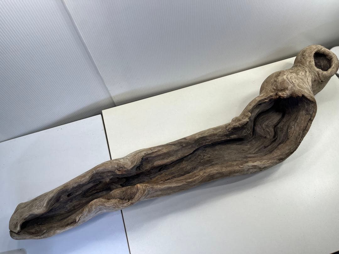 V3 特大流木 アク抜き済み流木 爬虫類シェルター 登り木 インテリア 生け花