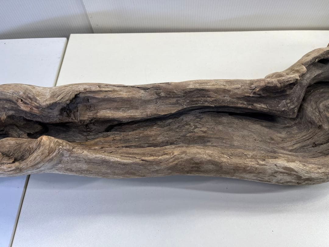 V3 特大流木 アク抜き済み流木 爬虫類シェルター 登り木 インテリア 生け花
