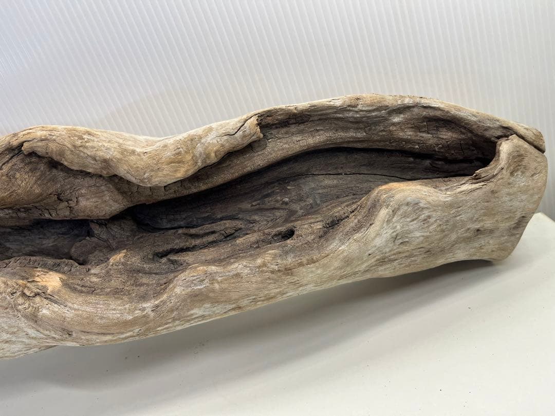 V3 特大流木 アク抜き済み流木 爬虫類シェルター 登り木 インテリア 生け花