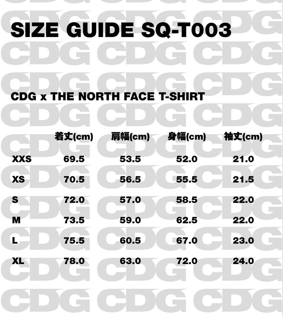 26SS CDG x THE NORTH FACE Tシャツ