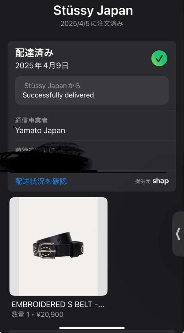 Stussy 黒 白点模様 ベルト S/M