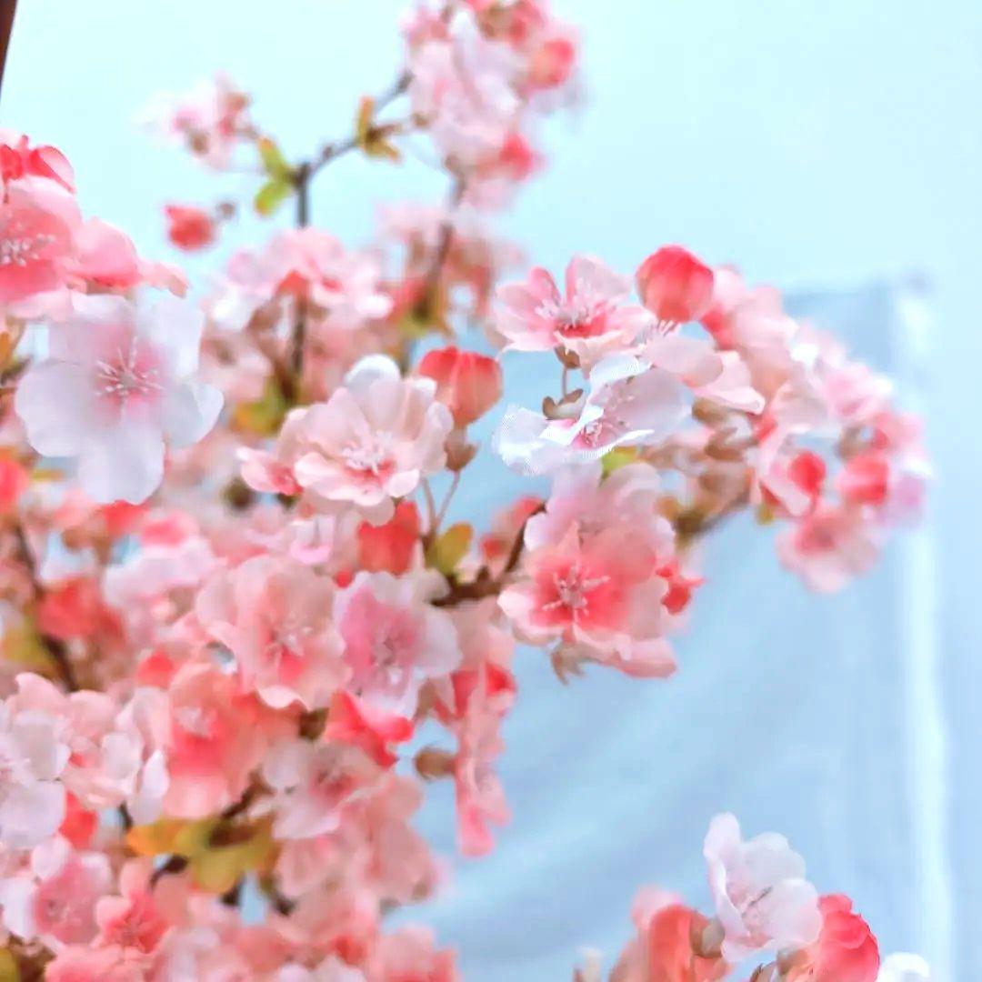 桜のアートフラワー 造花　7本　約110cm