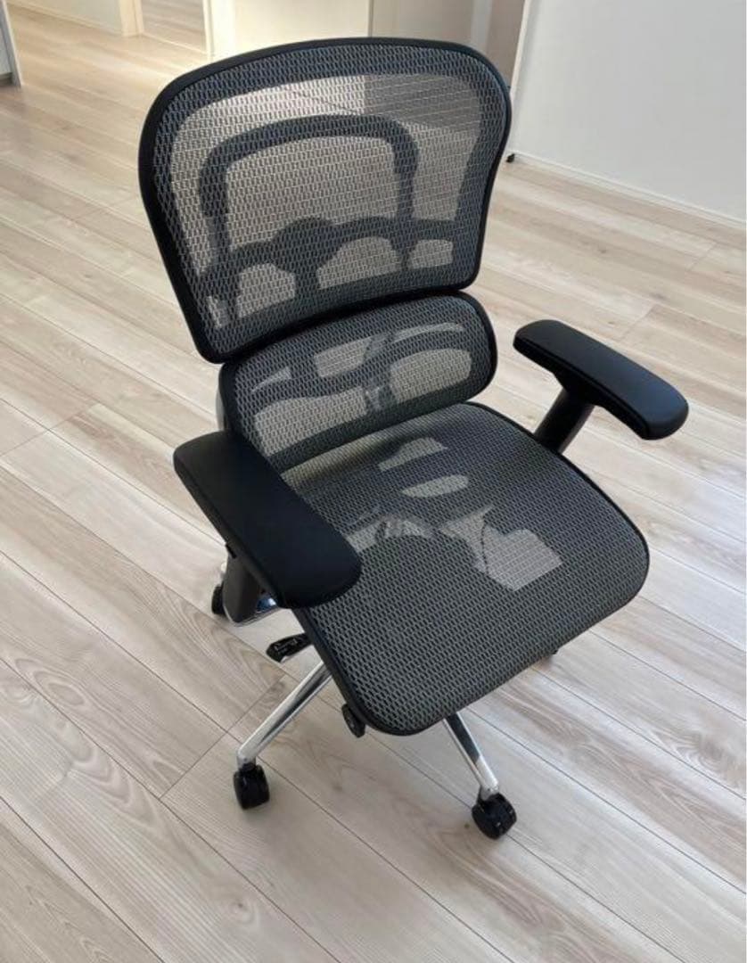 エルゴヒューマン　チェア【現地引き取り】