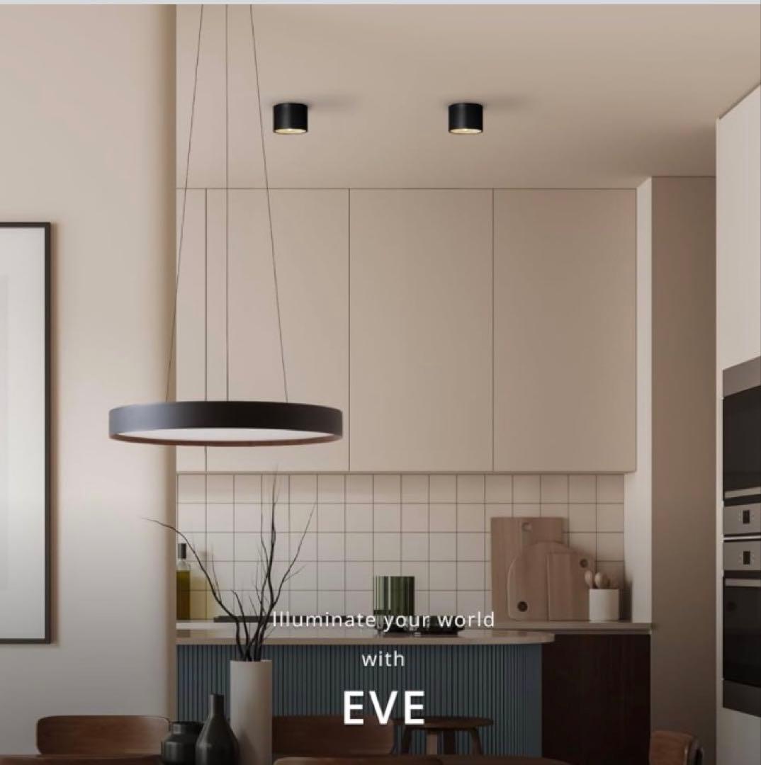 ARTWORKSTUDIO Eve ceiling light イブシーリング