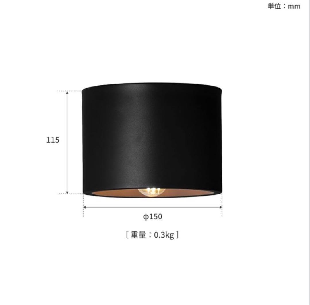 ARTWORKSTUDIO Eve ceiling light イブシーリング