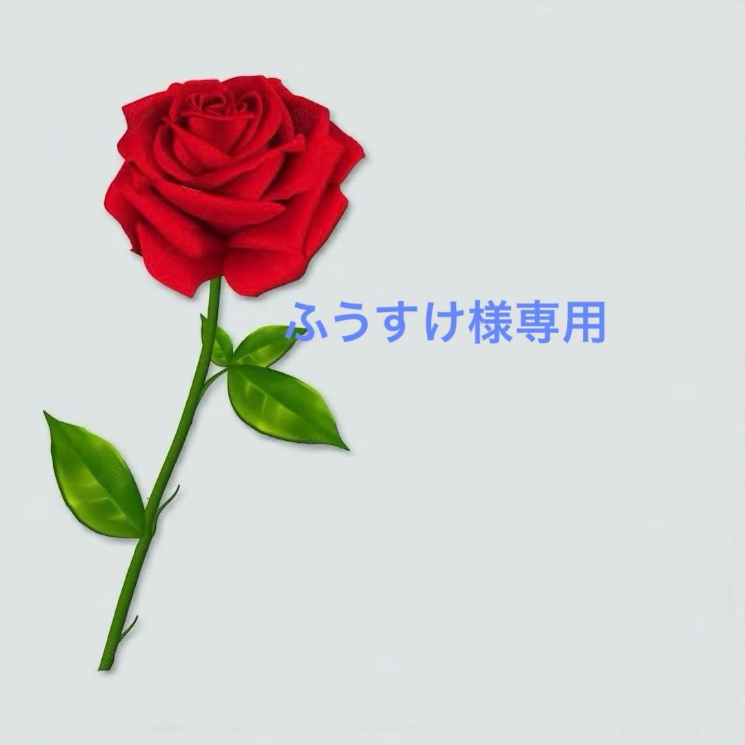 ふうすけ様一枚