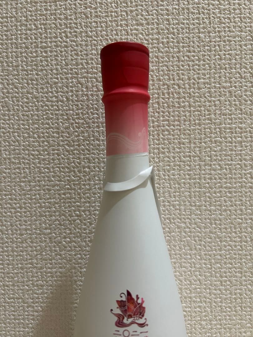 新政 2021 No.6 X-type