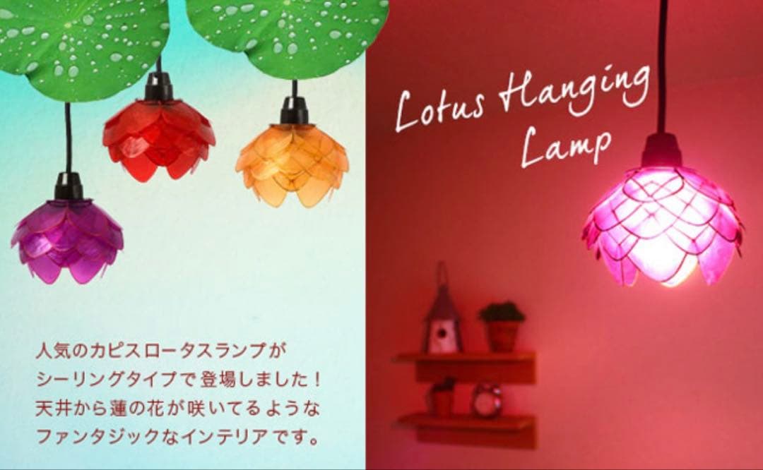 カピス ロータス ハンギング 3色セット
