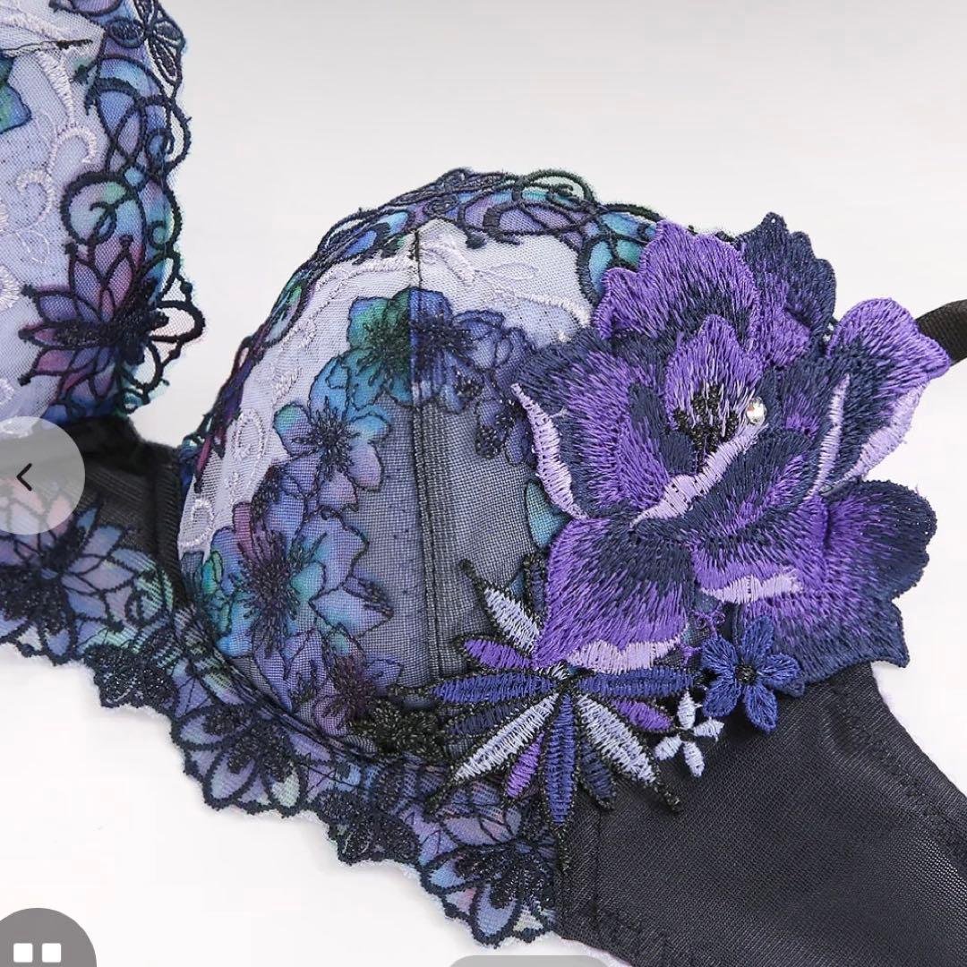 Salute E65 グループ50 セット