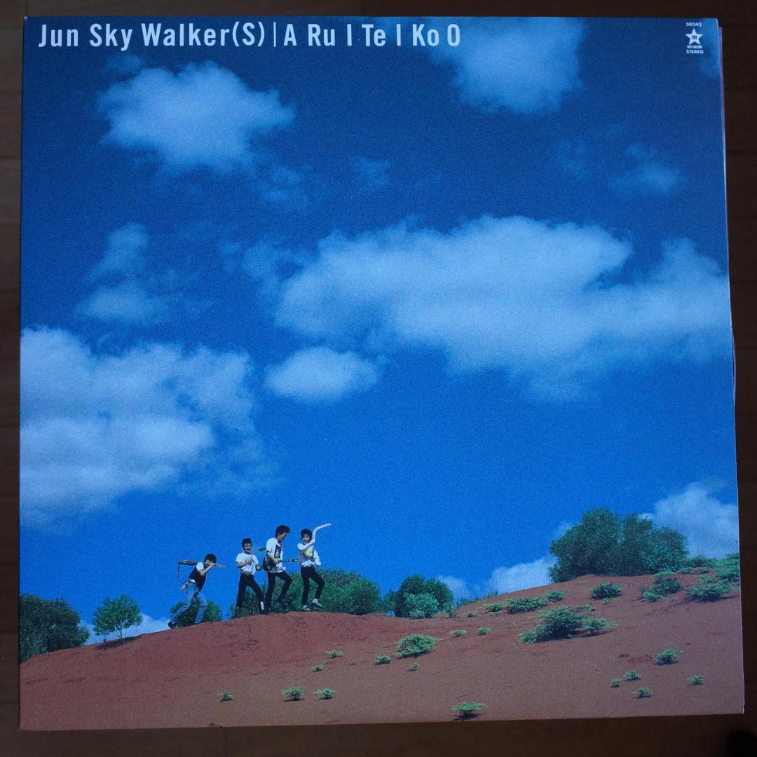 ジュンスカイウォーカーズ/歩いていこう【レコード】