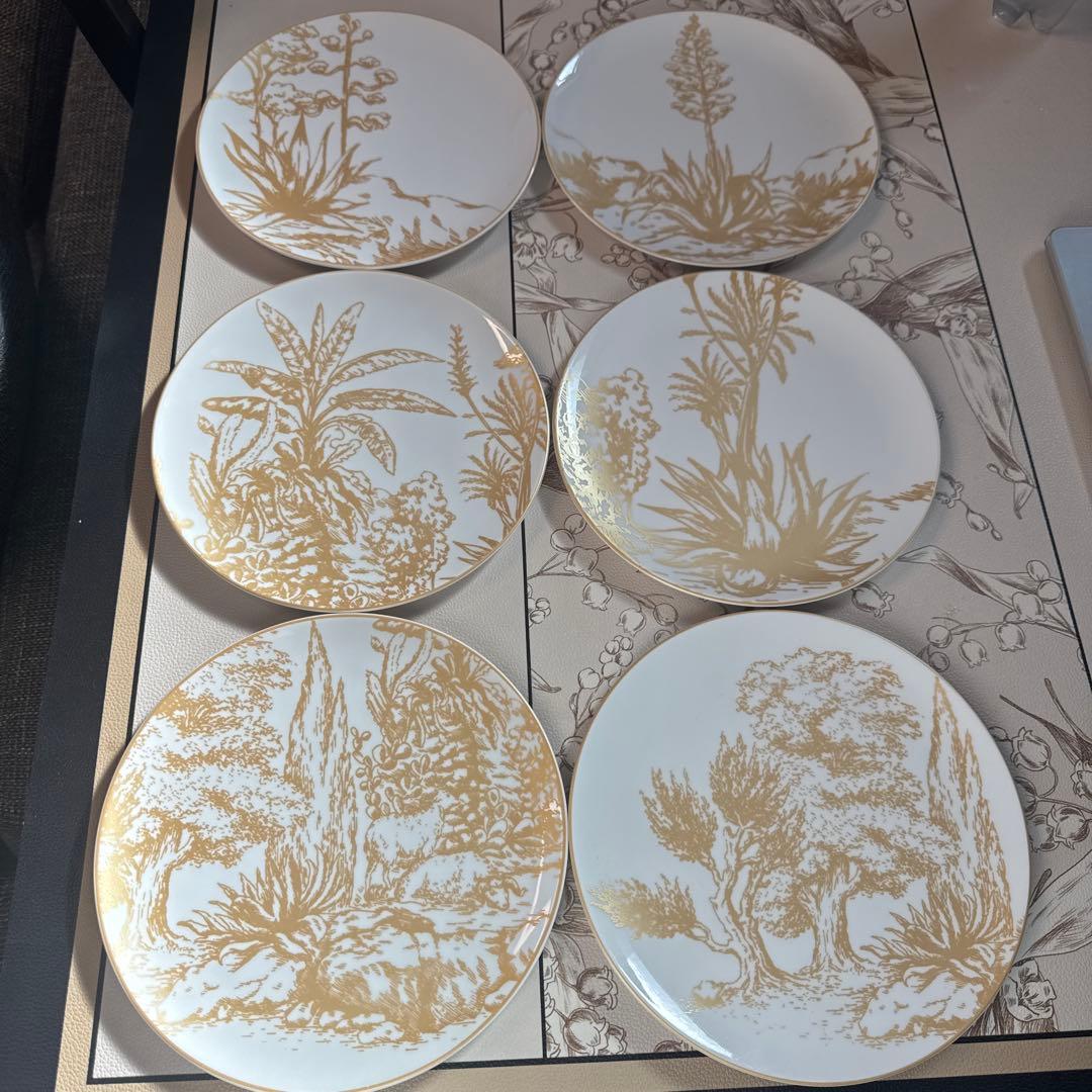 クリスチャンディオール ブロッシュ 大皿 ディナープレート 6枚 D ior食器