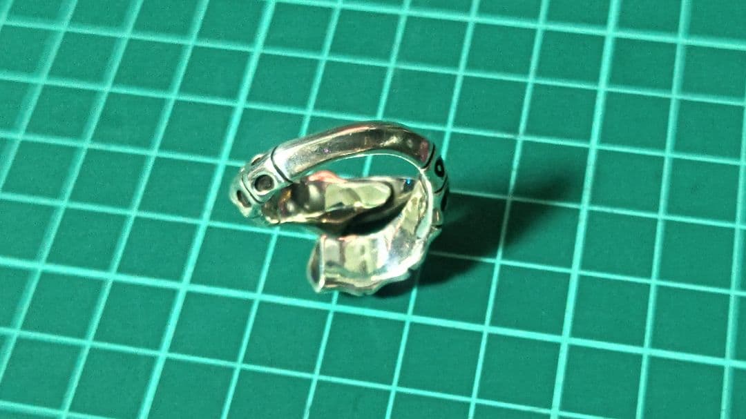 bloody mary スシュムナークローリング