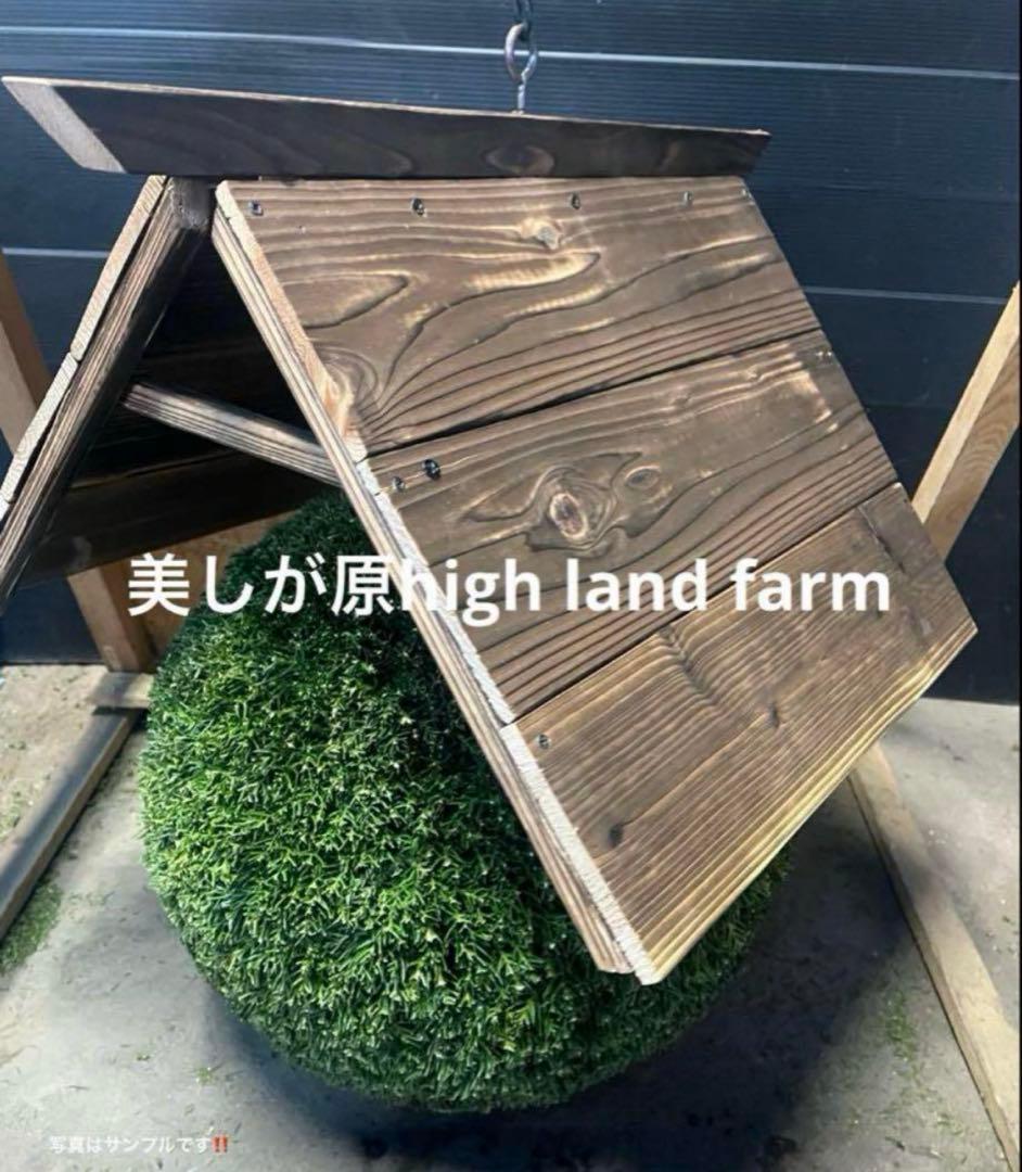 杉玉　約20センチ‼️屋根付き　お客様ご注文品♪