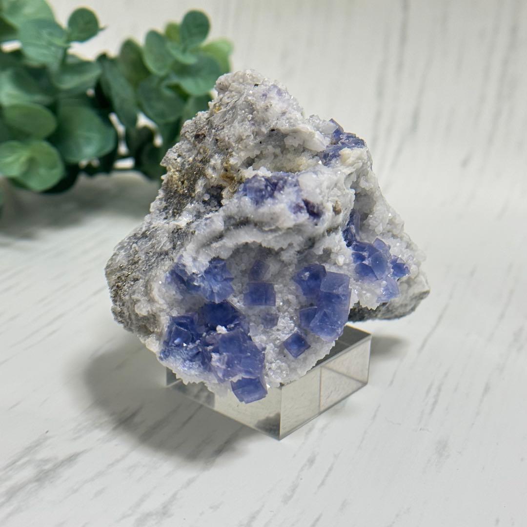 【D293】レア☆ブルー満天星 フローライト ヤオガンシャン 原石 鉱物 標本