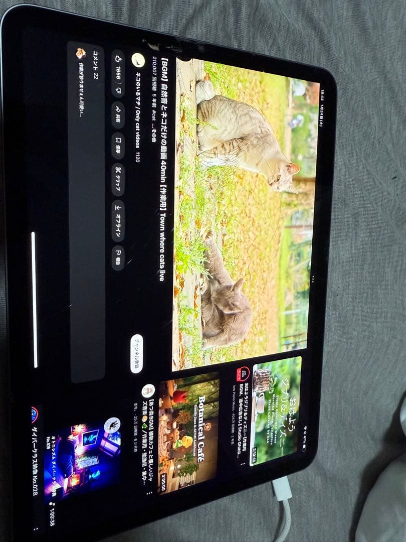 iPad Pro 11インチ第3世代スペースグレー 画面ひび割れ