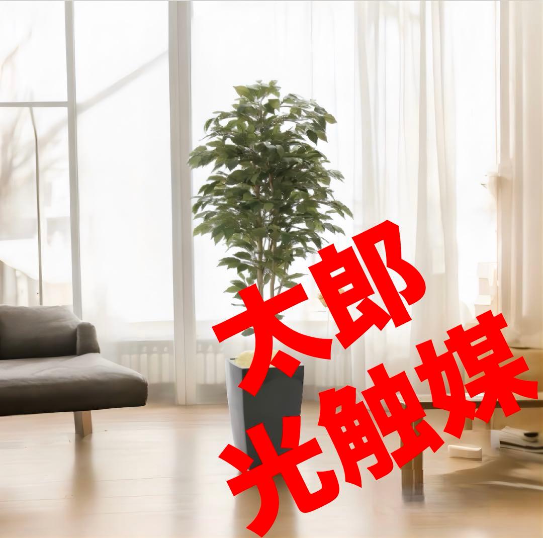 光触媒　人工観葉植物　フェイクグリーン　アーバンベンジャミン1.8
