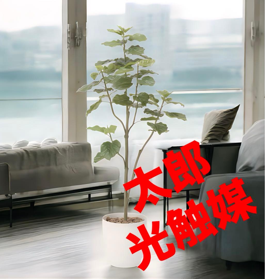 光触媒　人工観葉植物　フェイクグリーン　ウンベラータツリー1.8gp