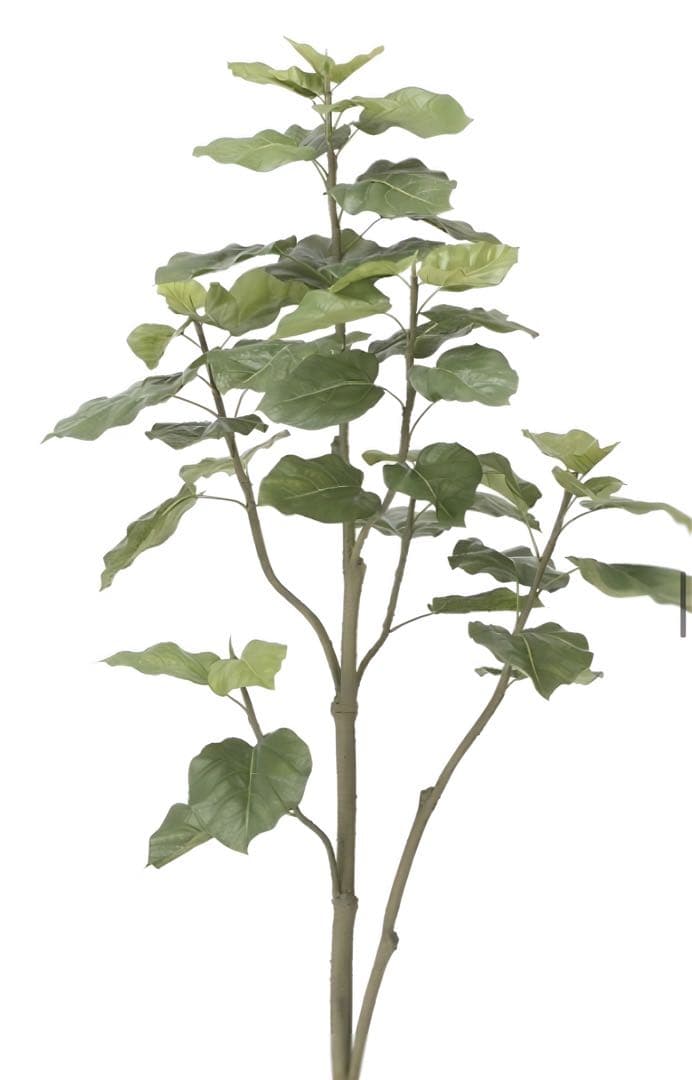 光触媒　人工観葉植物　フェイクグリーン　ウンベラータツリー1.8gp