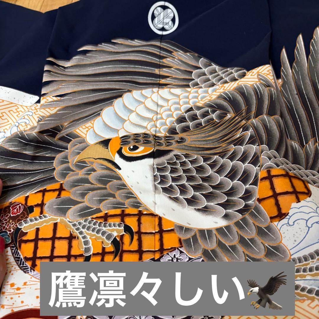 七五三 五歳‼️紺地鷹凛々しい金彩煌びやか❤️完全フルセット