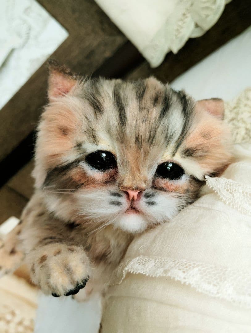 ヤマネコベビー❤子猫ちゃん♡アートドール♡ぬいぐるみ♡