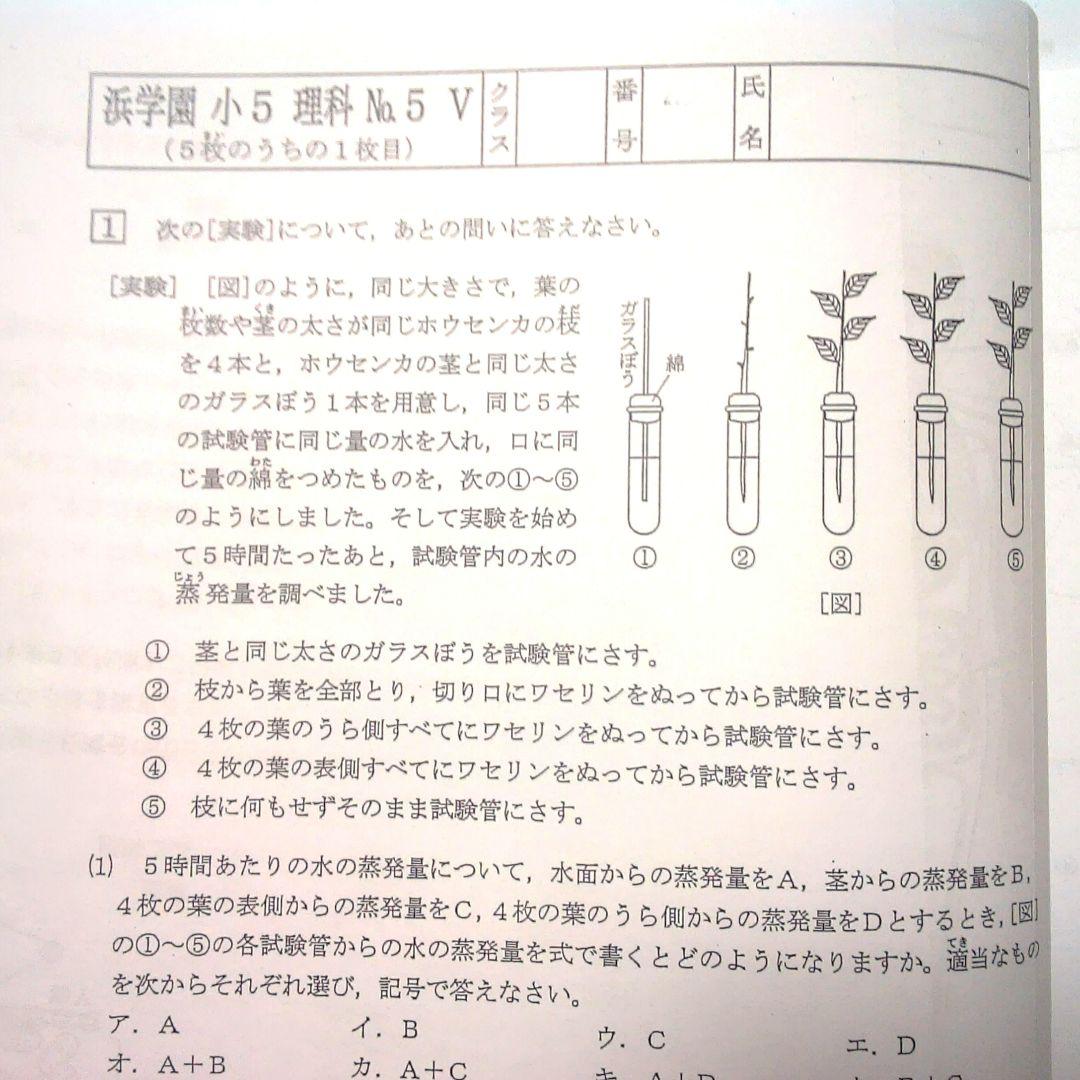 2024年 浜学園 小5 Ｖクラス 3科目1年分 復習テスト 算国理