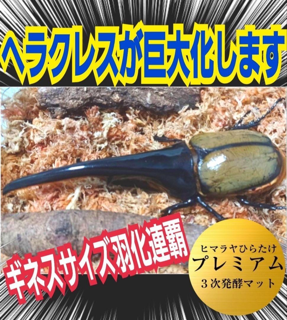 極上！プレミアム3次発酵カブトムシマット【6袋セット】ギネスサイズ羽化実績多数
