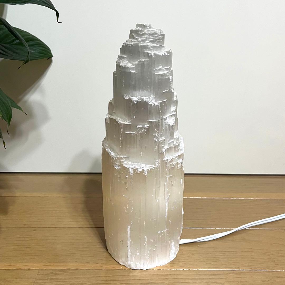 セレナイトタワー　ライト