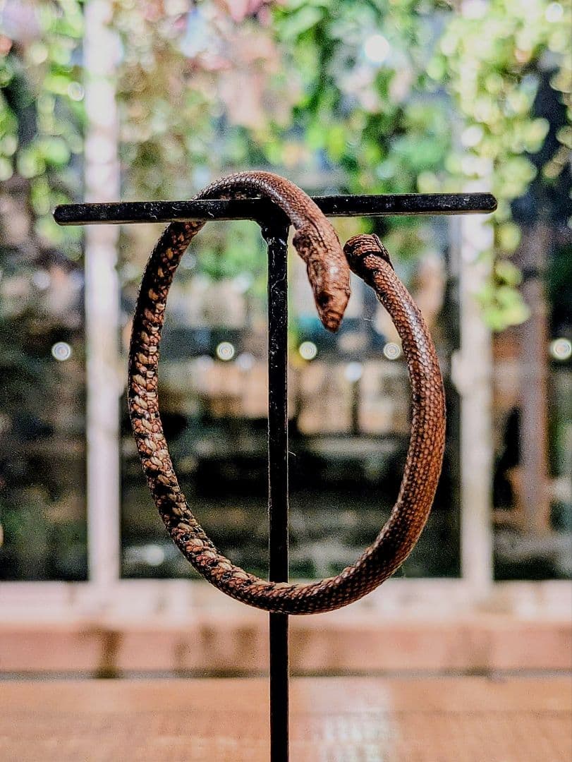 シェアースピリット　蛇バングル　sharespirit