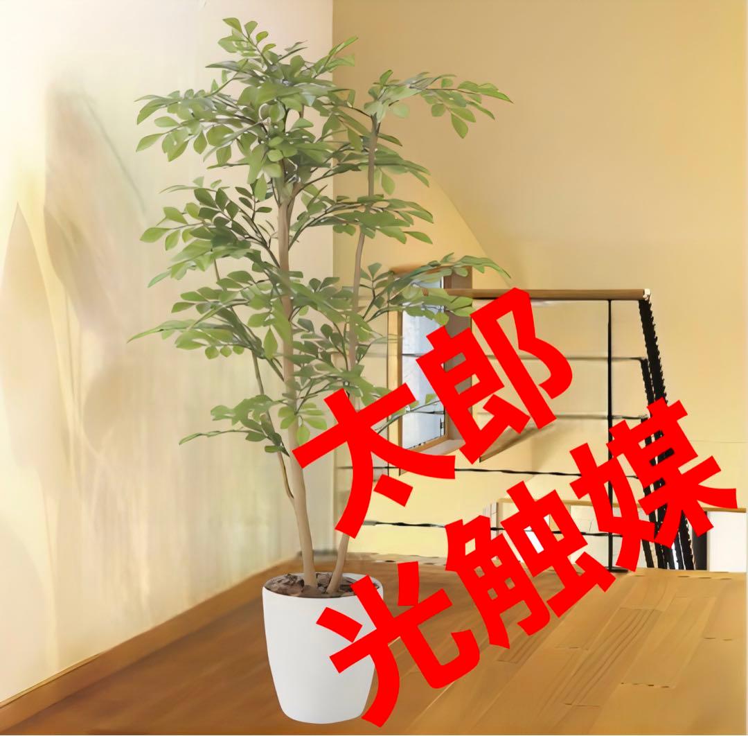 光触媒　人工観葉植物　ウォールグリーン　フェイクグリーン　ライトトネリコ1.0