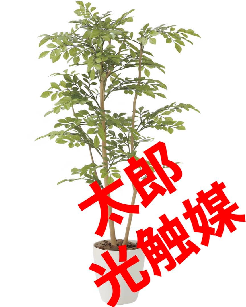 光触媒　人工観葉植物　ウォールグリーン　フェイクグリーン　ライトトネリコ1.0