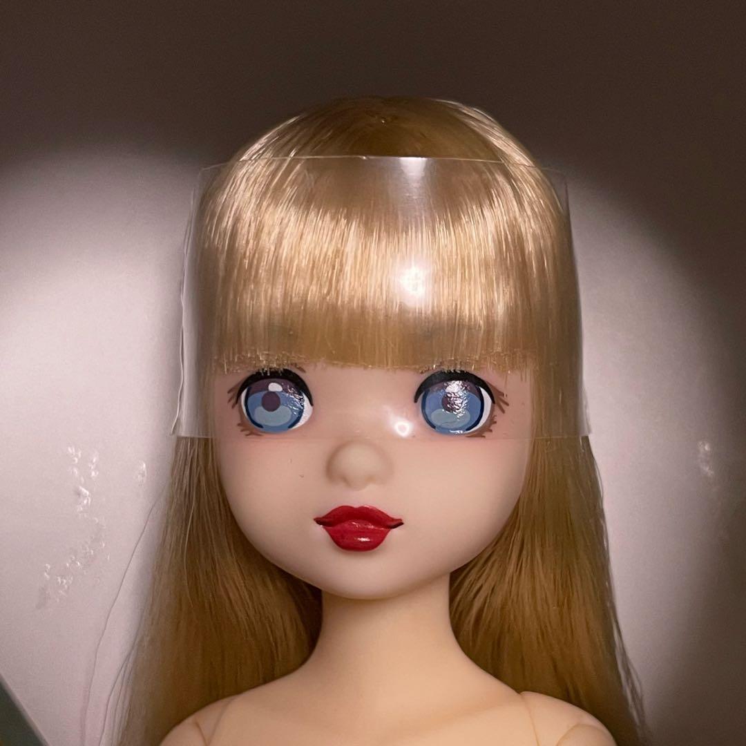 ruruko 小さな悪魔 アゾンEx.【お人形未使用】　ペットワークス