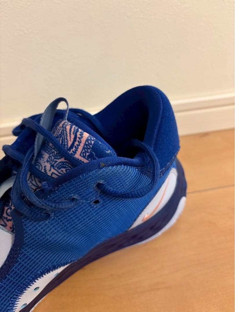 【お値下げ】ナイキ　PG6 ペイズリー　29cm