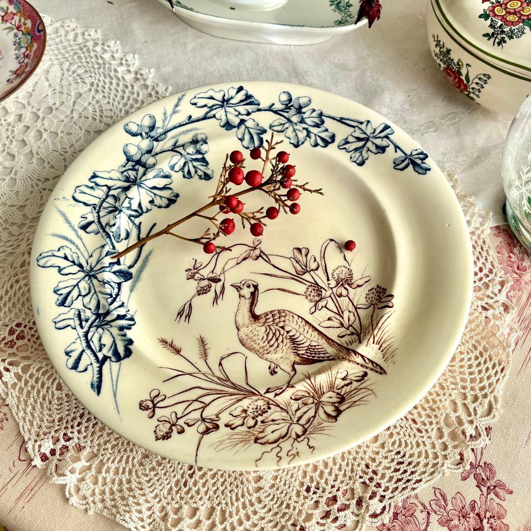 フランスアンティーク˚✧₊ クレールフォンテーヌꕤ︎︎ 鳥さんコンポティエꕤ︎︎ レア✧