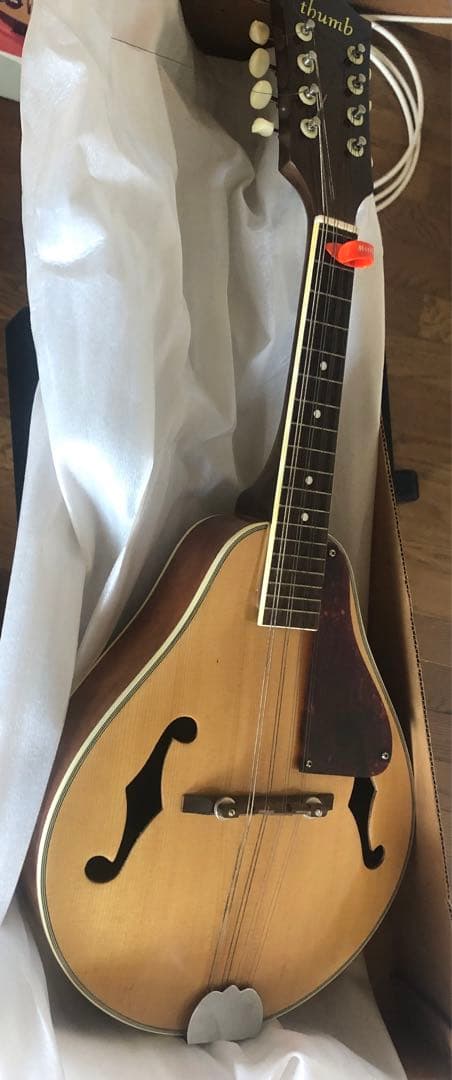 少し値下げしました！thumbフラットマンドリン