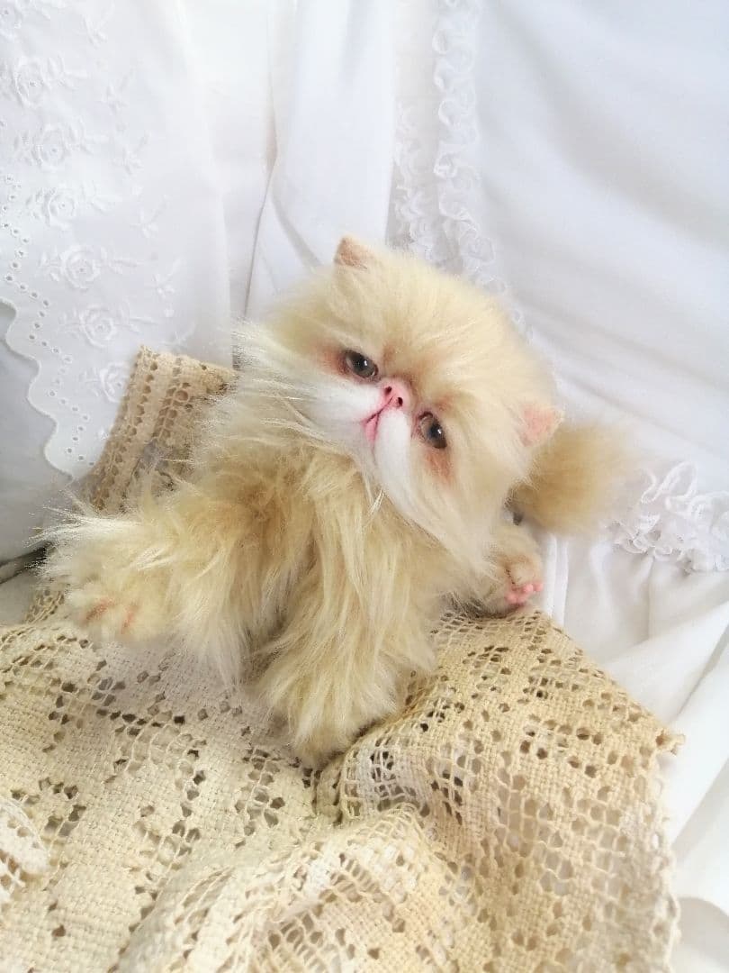 ふにゃっくた♡やわにゃわ♡エキゾチック子猫ちゃん♡アートドール♡ぬいぐるみ♡