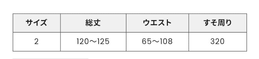 スカート HOLY NIGHT JUMPER SKIRT