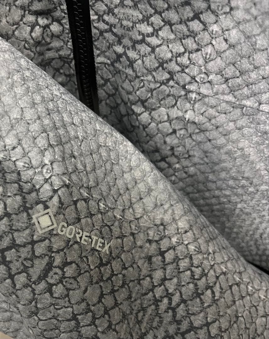 ARC'TERYX アークテリクス　beta SL ウォークジェントリー　L